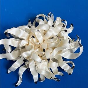 Elegant Cream and Black Ribbon Hair Accessory